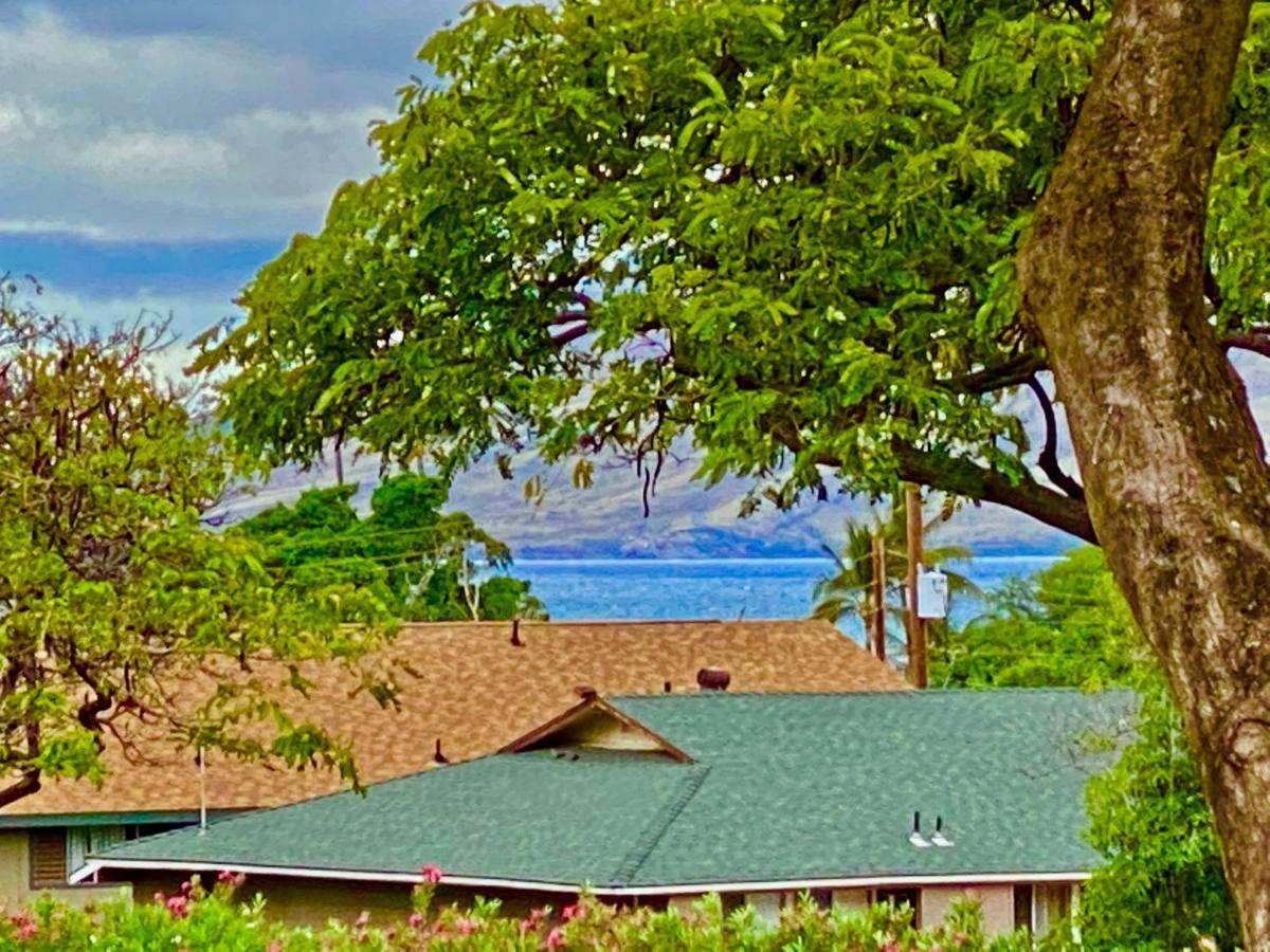 Maui-Licious By The Beach Кіхеї Екстер'єр фото