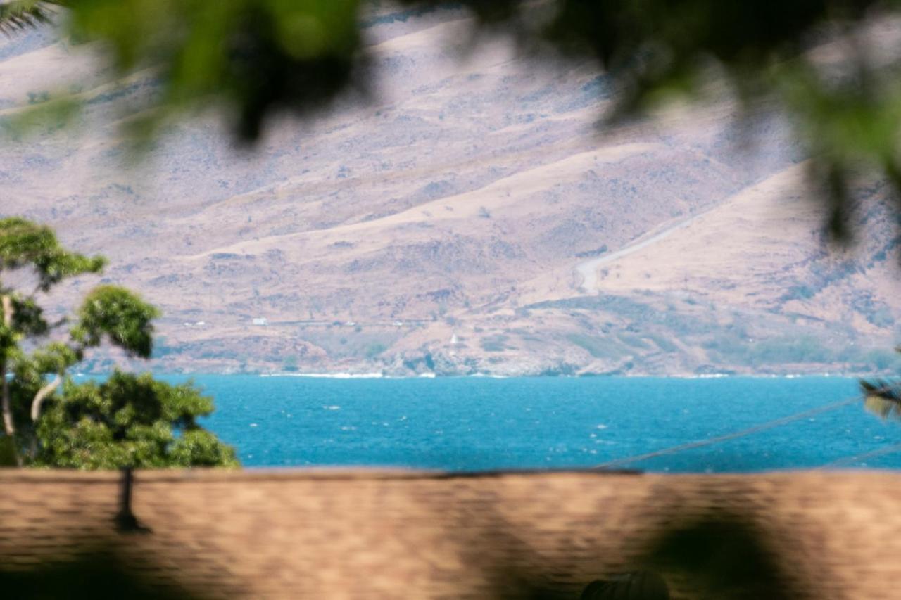 Maui-Licious By The Beach Кіхеї Екстер'єр фото